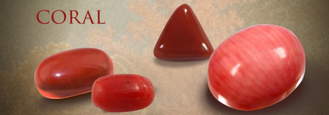 Natural Red Coral Natural Red Coral