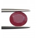 5.55 Ct 6.25 Ratti Natural Untreated Certified Ruby Earth Mined